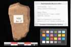 Foto (Objekt + Etikett) von Quercus palaeoilex Ettingshausen (NHMW-GEO-2024-0188-0866)